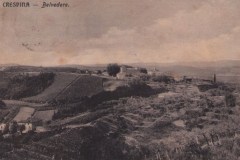 397620 crespina-belvedere-1916