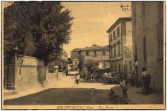 PALAIA