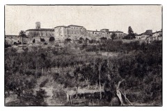 PALAIA